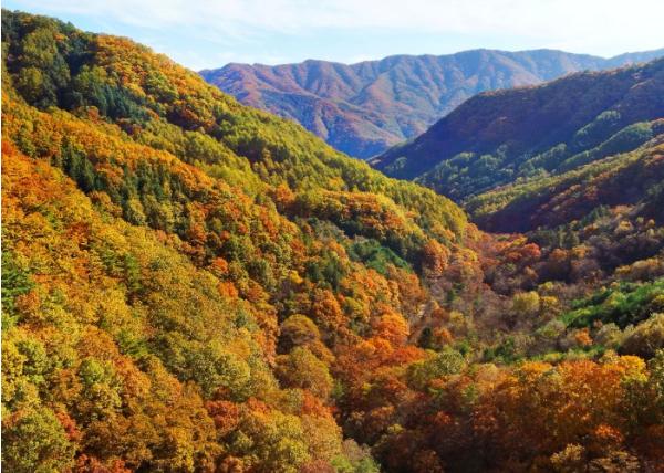 [기획] 10월의 가평… 어디를 걸어도 한 폭의 그림